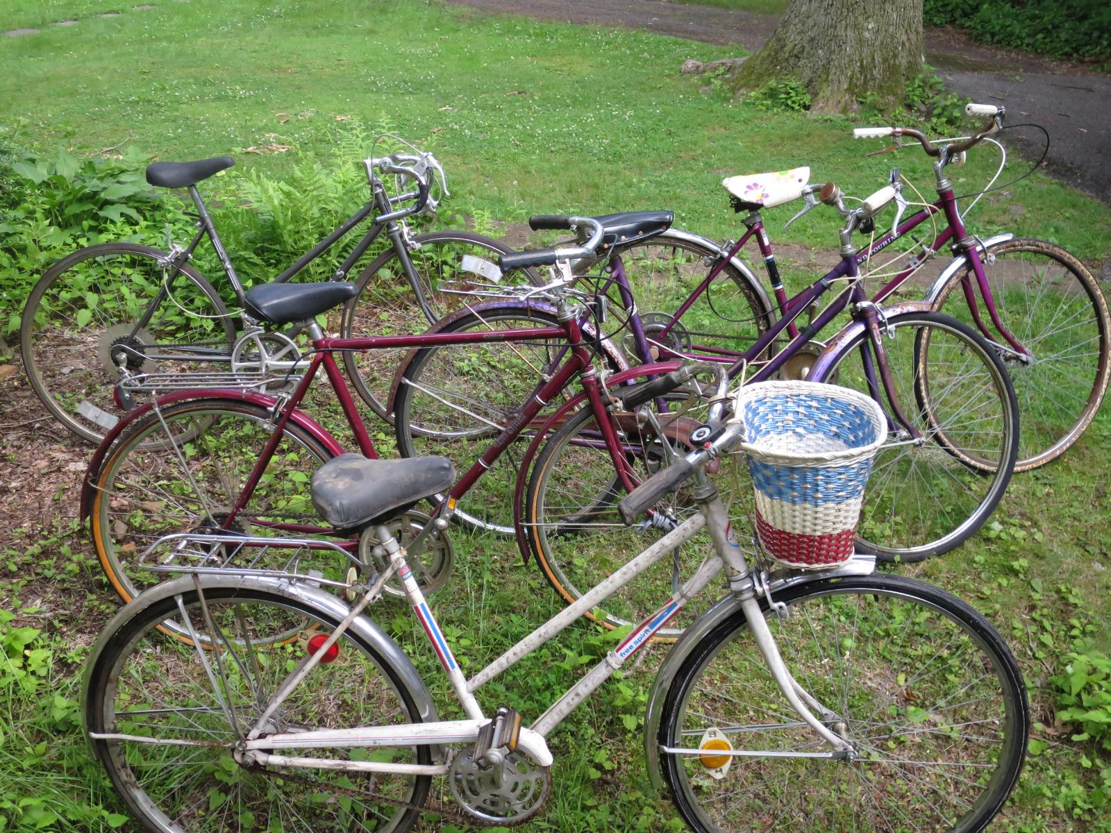 Bikes Bikes