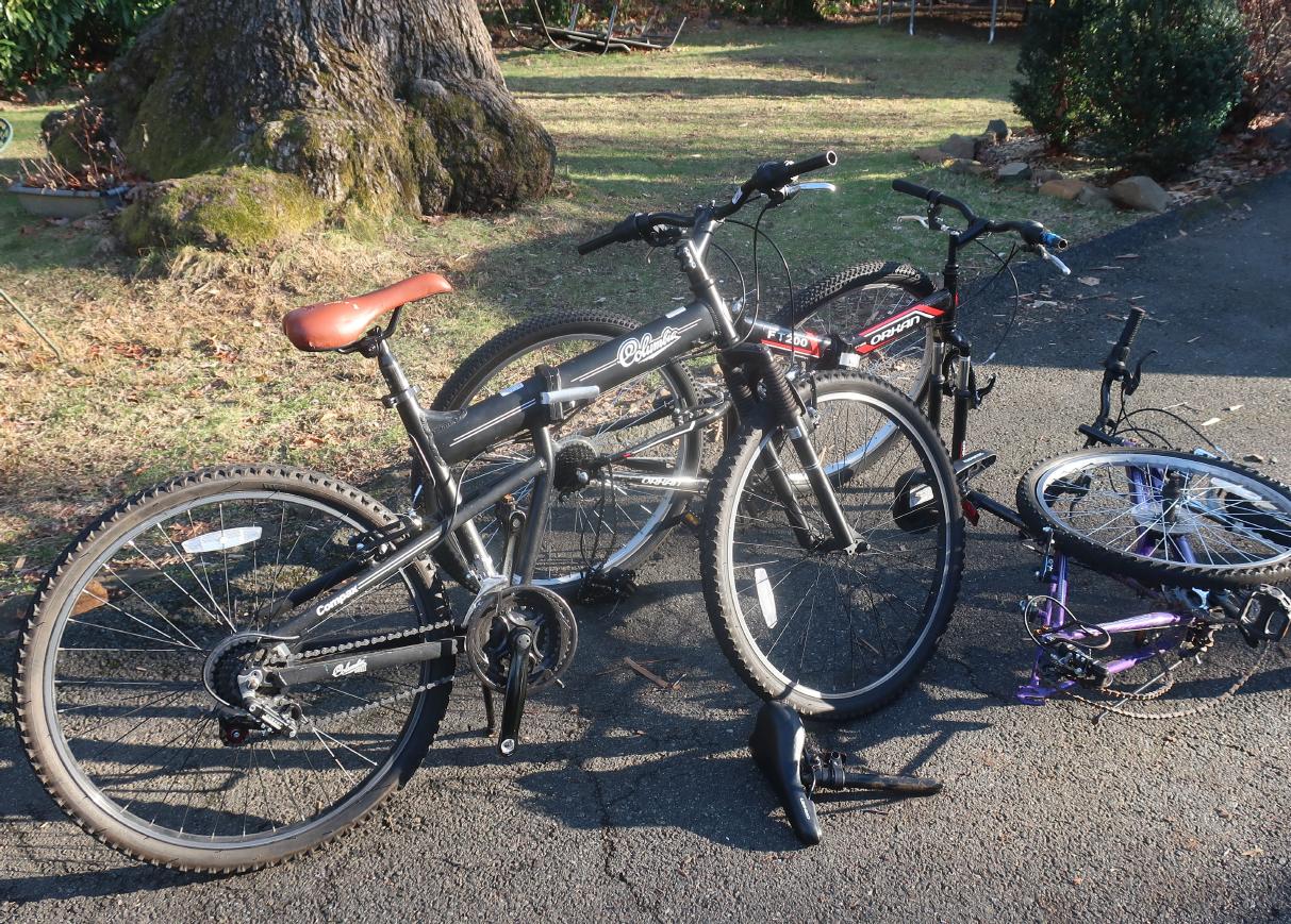 Bikes Bikes