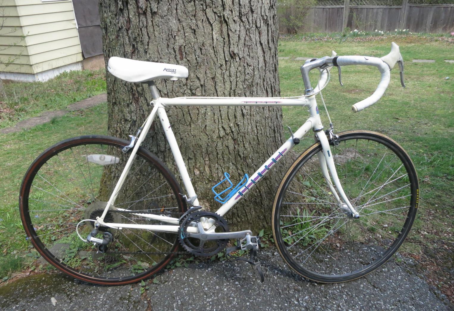 Bianchi Eros Bianchi Eros