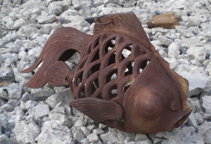 cast iron fish