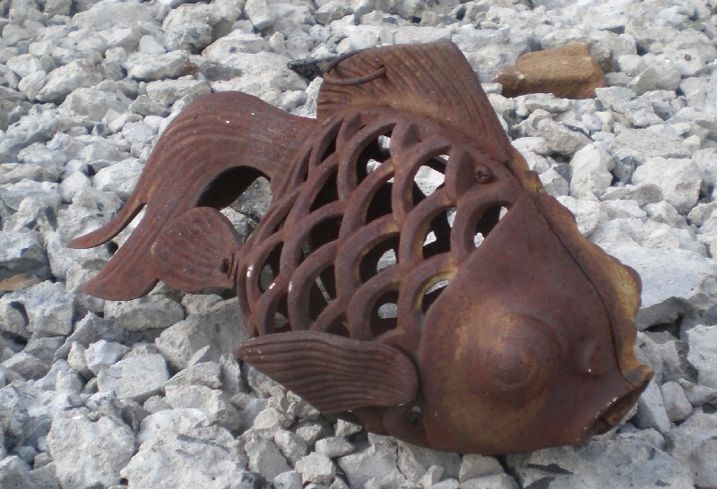 Cast Iron Fish cast iron fish