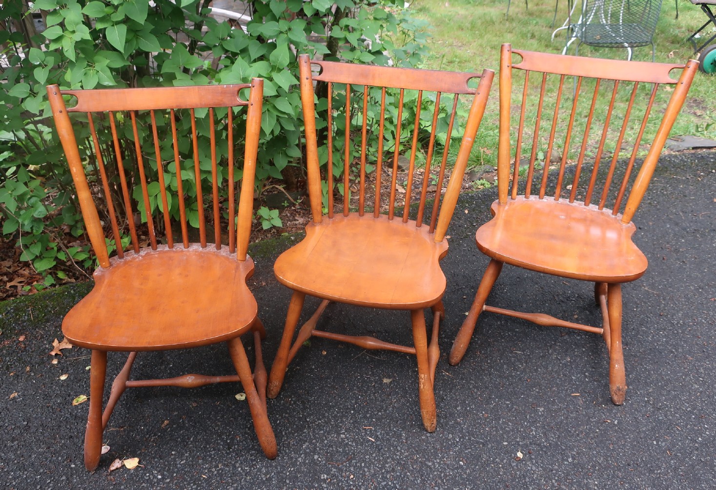 Dining Chairs Dining Chairs
