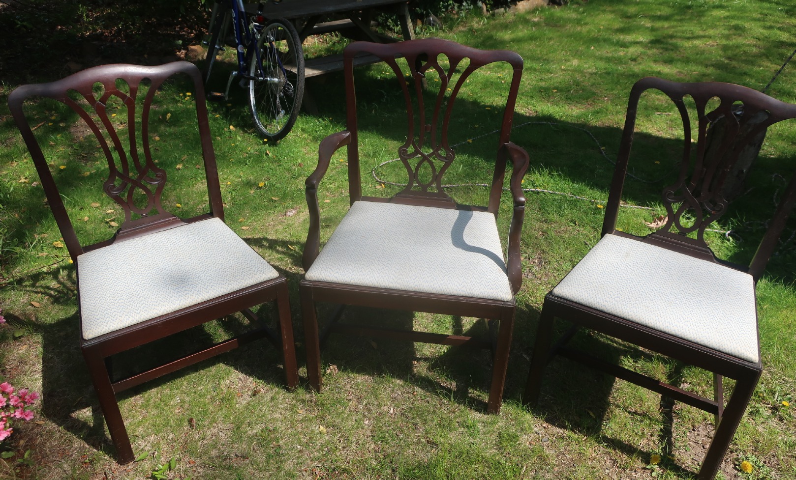 Dining Chairs Dining Chairs