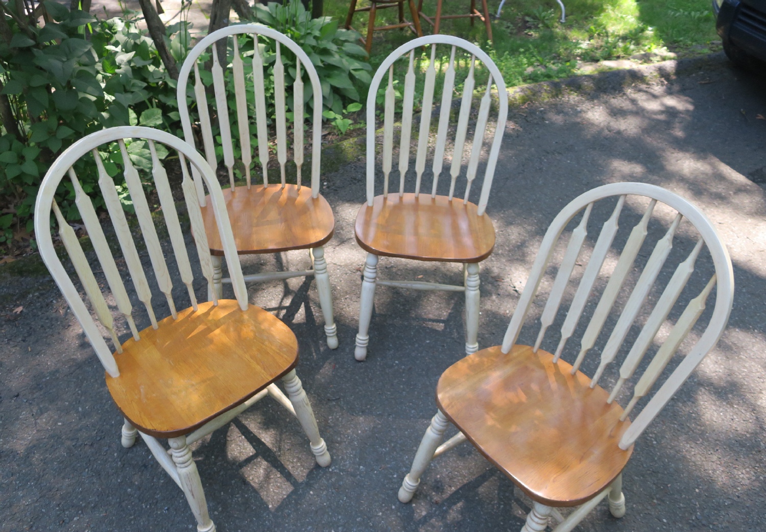 Dining Chairs Dining Chairs