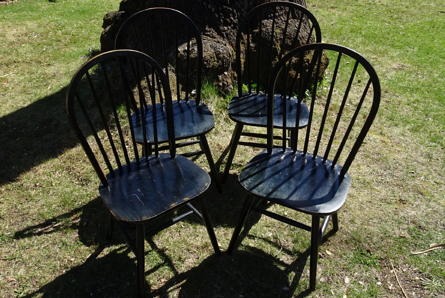 Dining Chairs