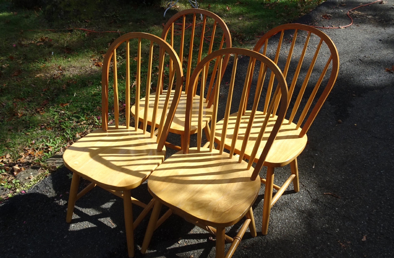 Dining Chairs