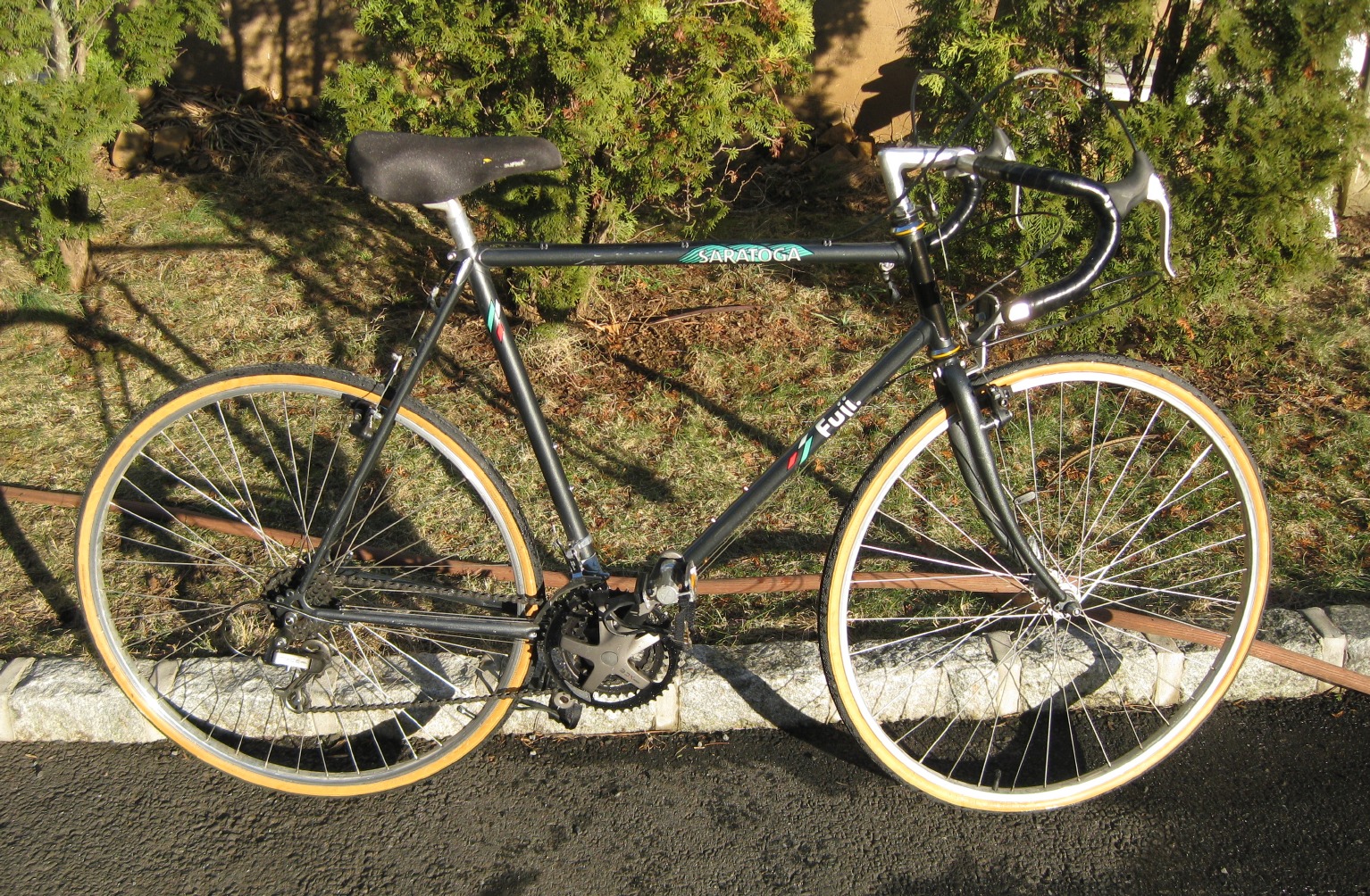 Fuji Saratoga Fuji Saratoga