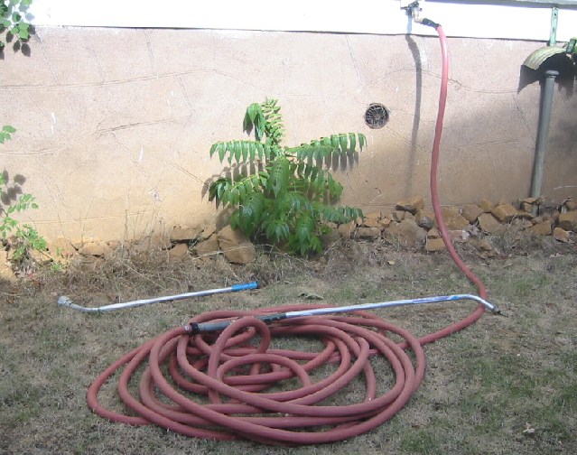 Hot Hose garden