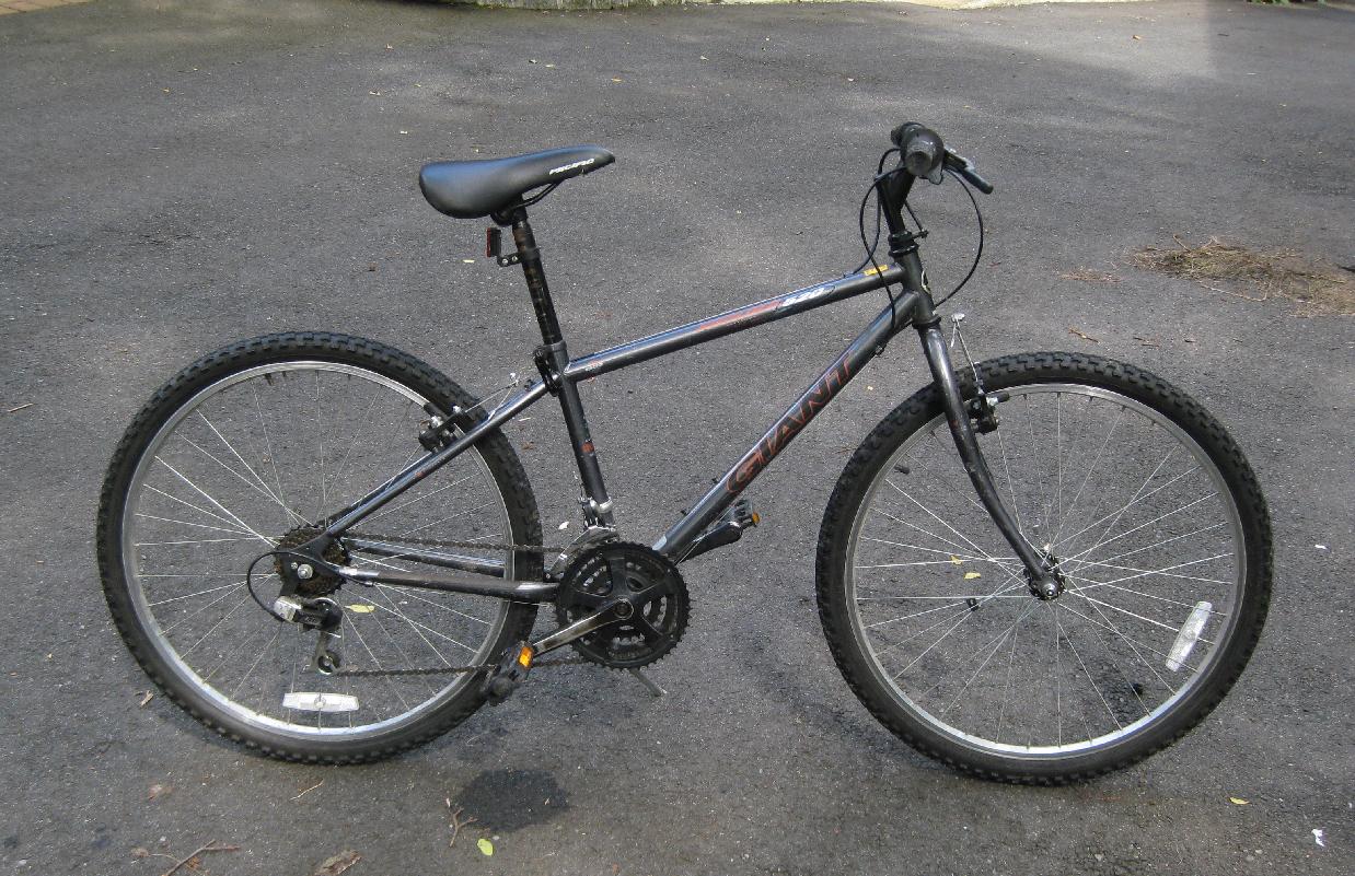 Giant Mountain Bike Giant Mountain Bike