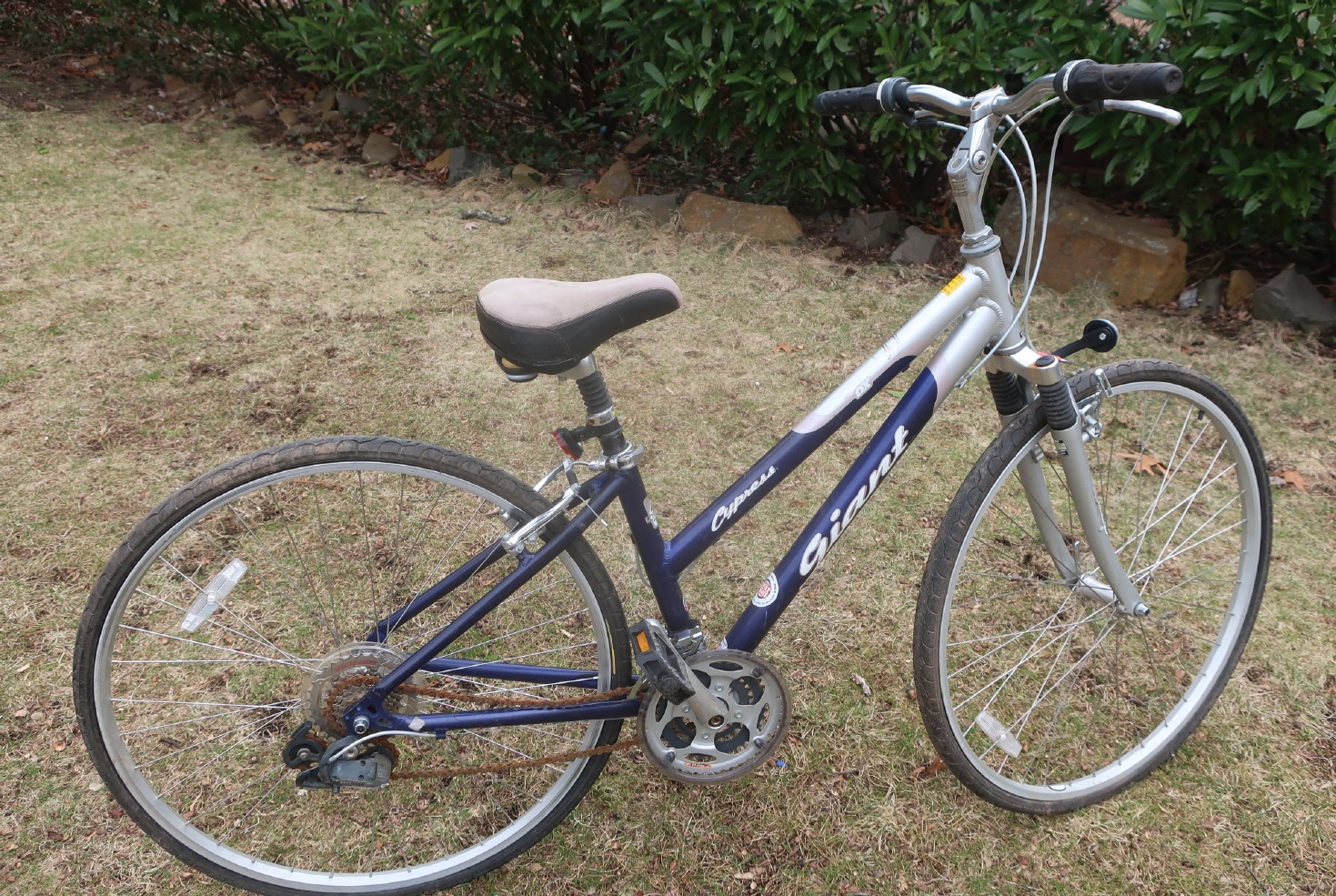 Giant Cypress Bike Giant Cypress Bike