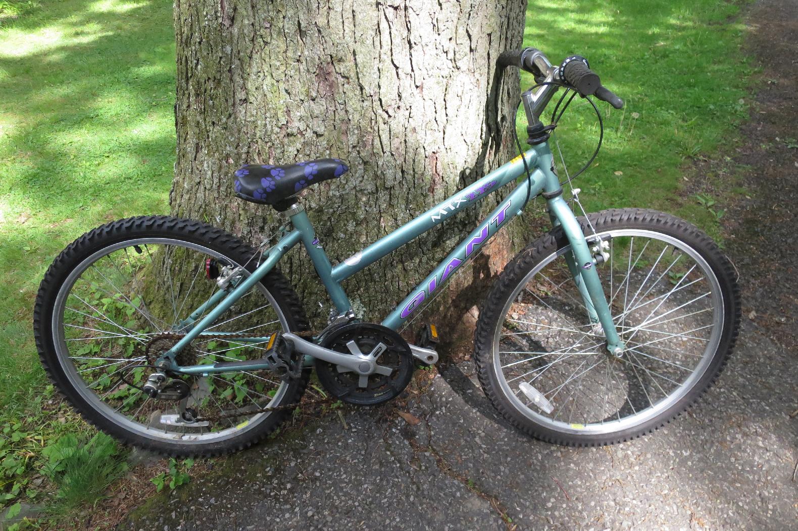 Giant Bike Giant Bike