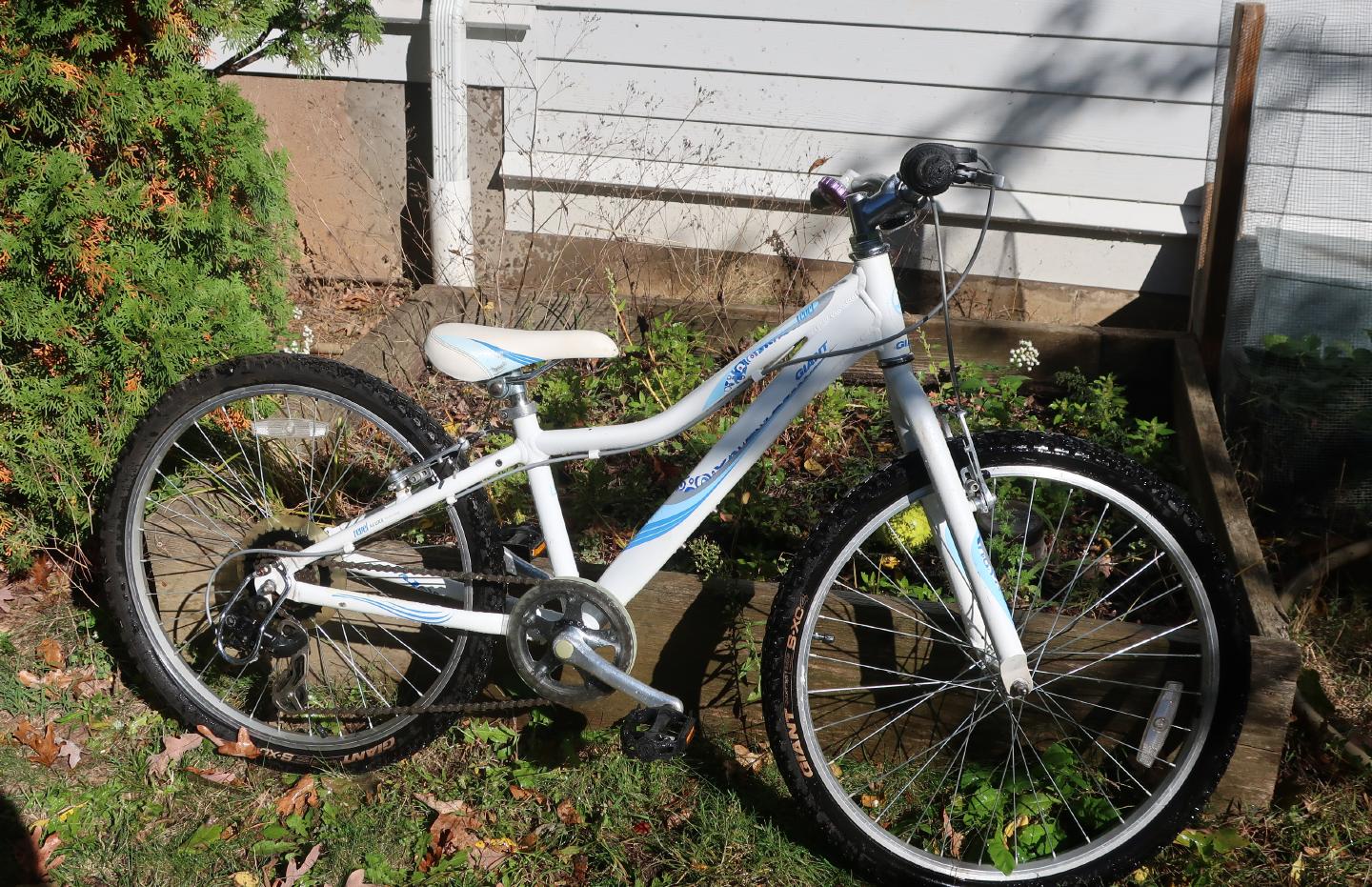 Giant Bike Giant Bike