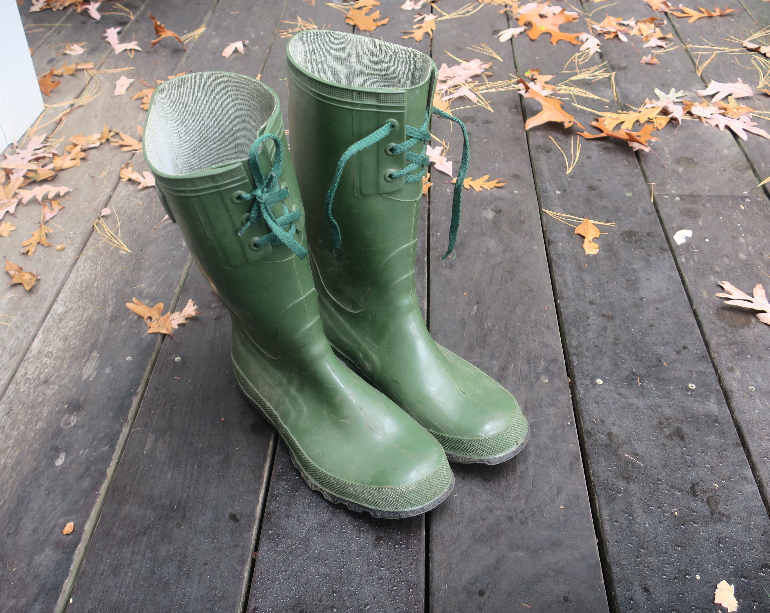 Wellies Wellies