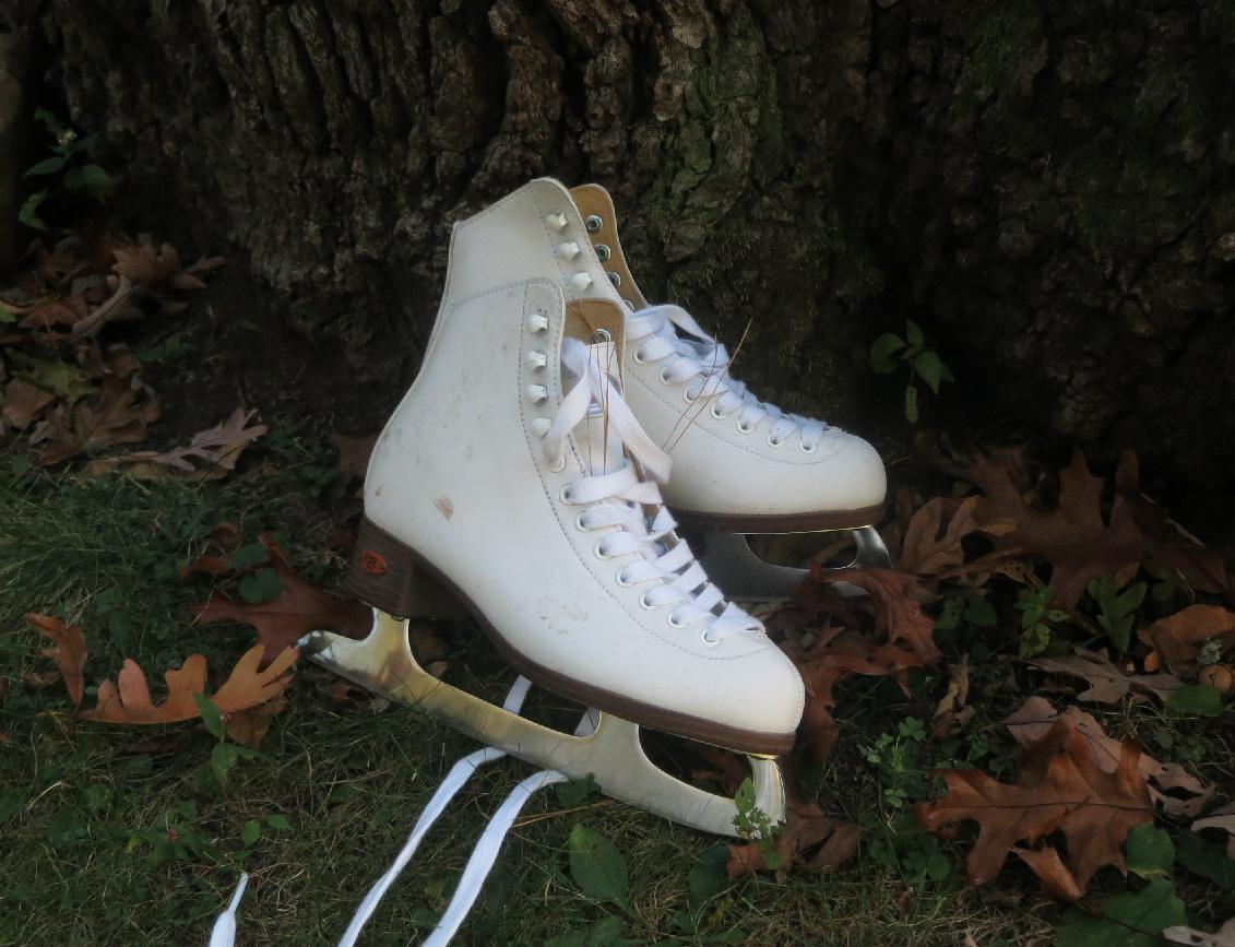 Ice Skates Ice Skates