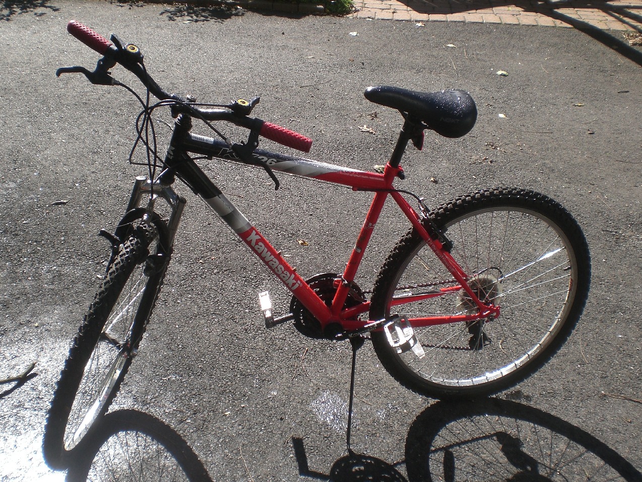 Mountain Bike Kawasaki