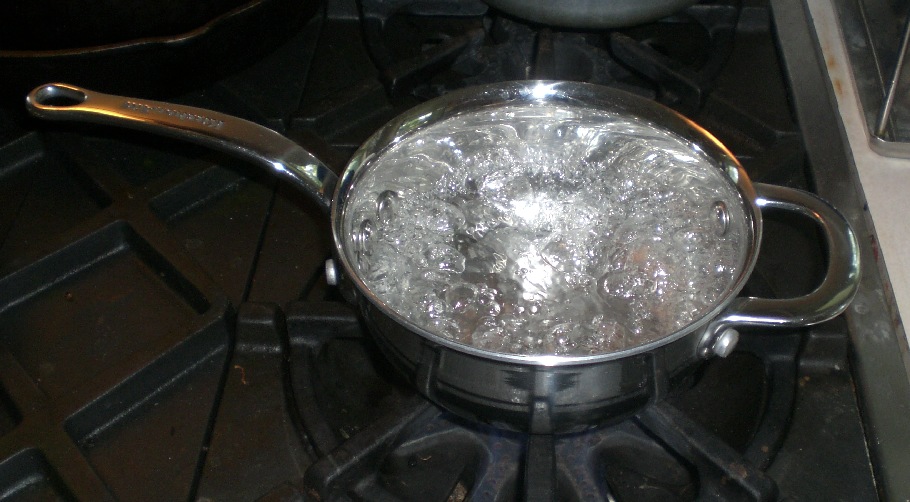 KitchenAid Stainless Pan kitchen aid pan