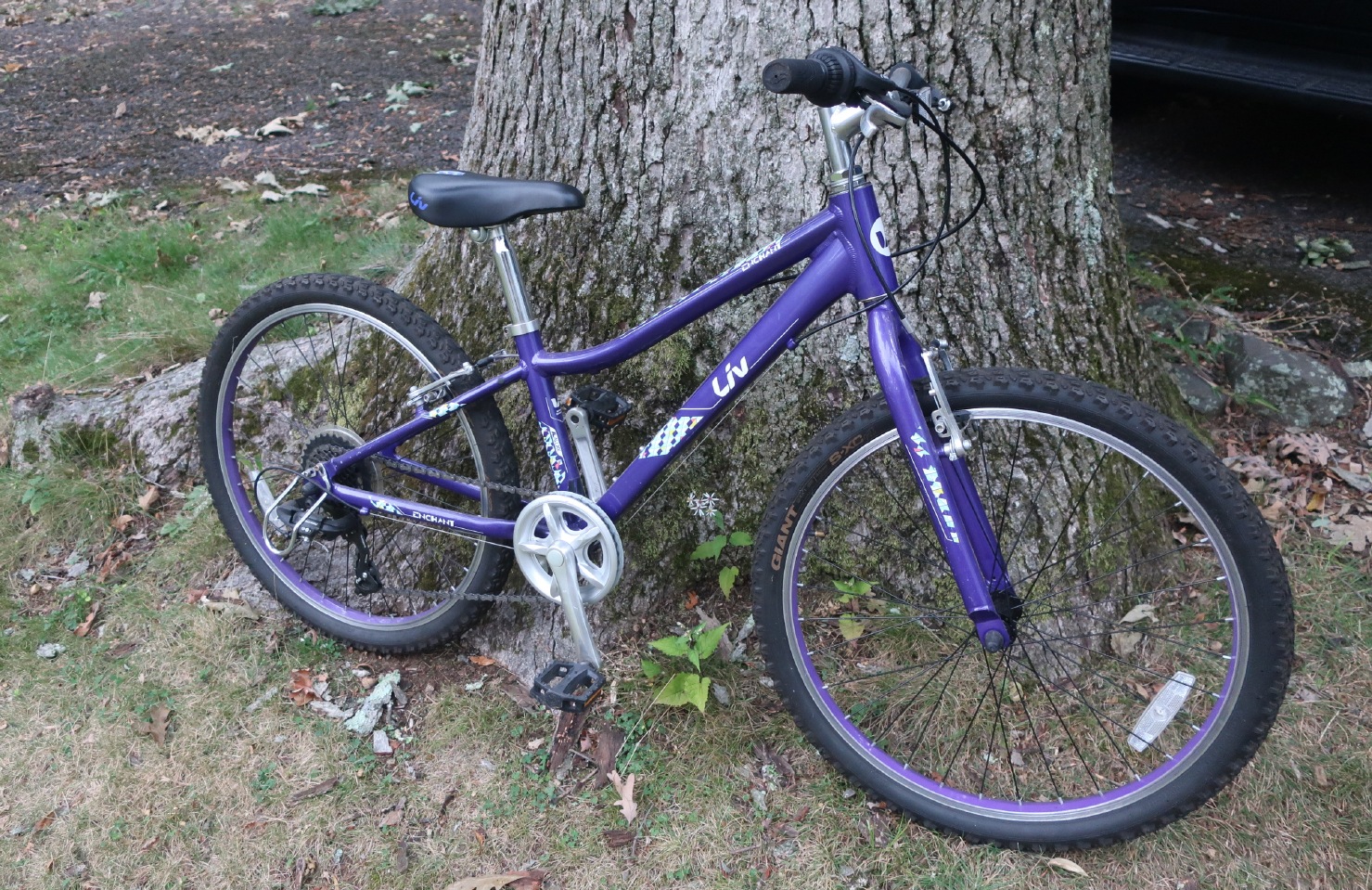 Liv Enchant Bike Liv Enchant Bike