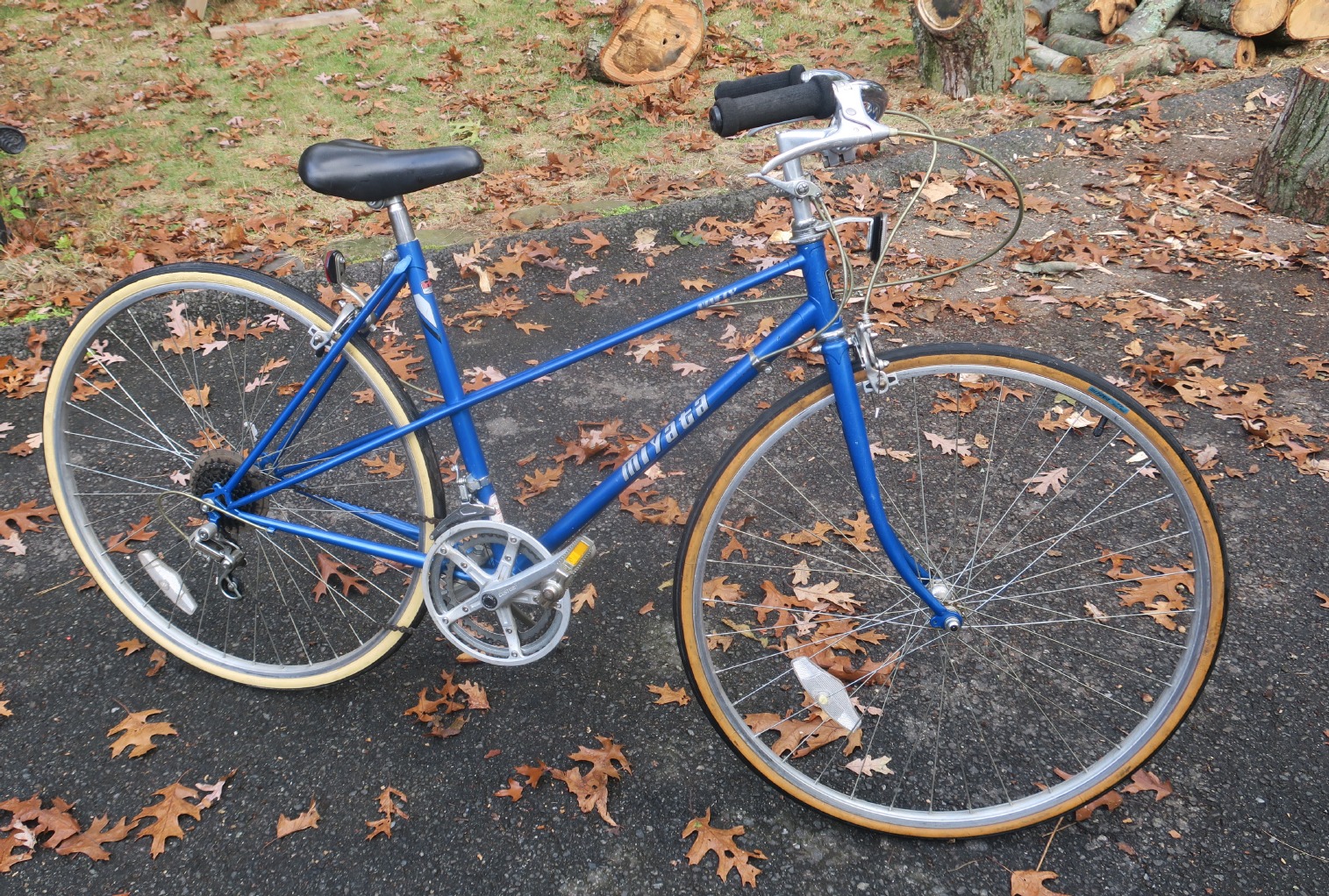 Miyata Bike