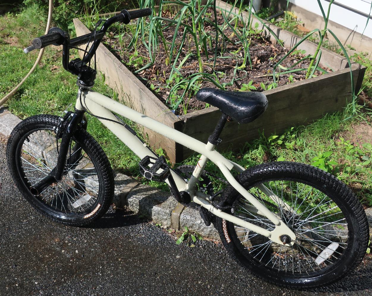 Mongoose BMX