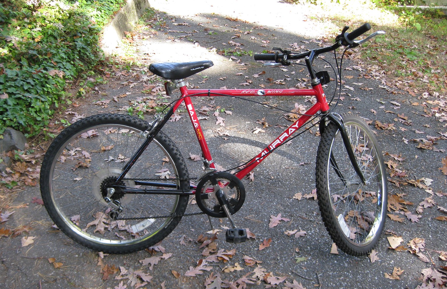 Murray Bike Murray Redwing