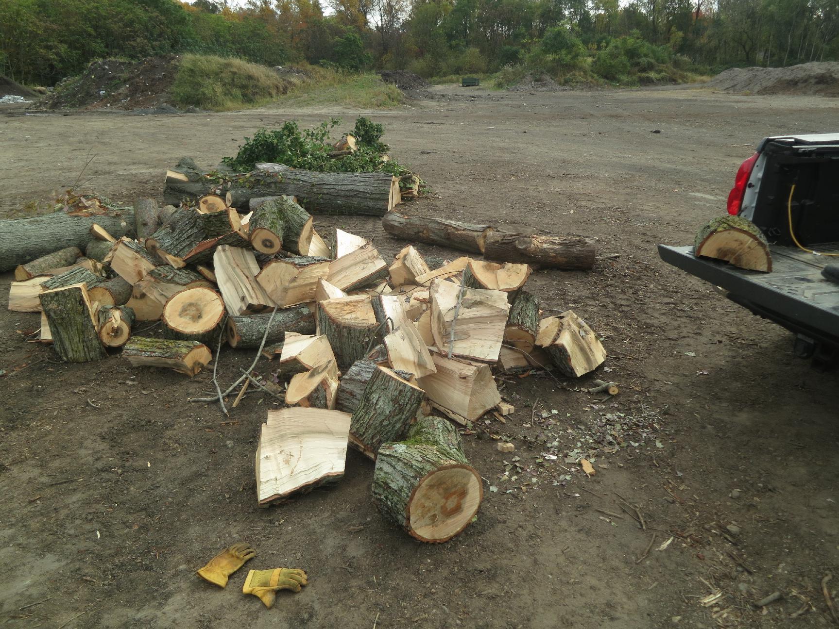Firewood Firewood