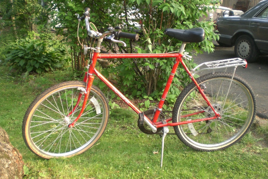 Red Panasonic Bike panasonic bike