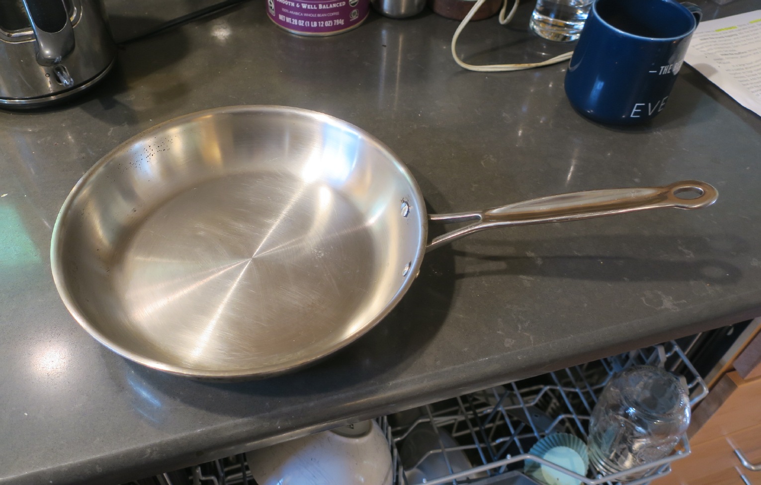 Stainless Skillet Stainless Skillet