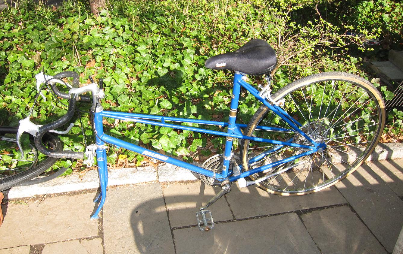 Raleigh Mixte