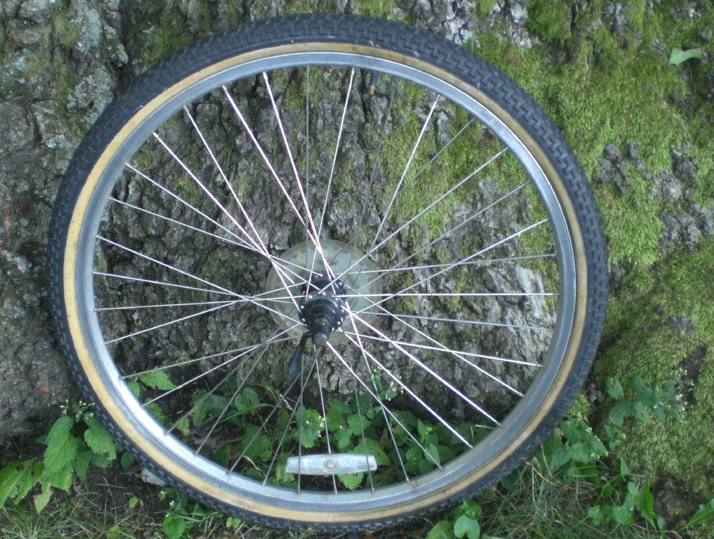 Bike Wheel rear bike wheel