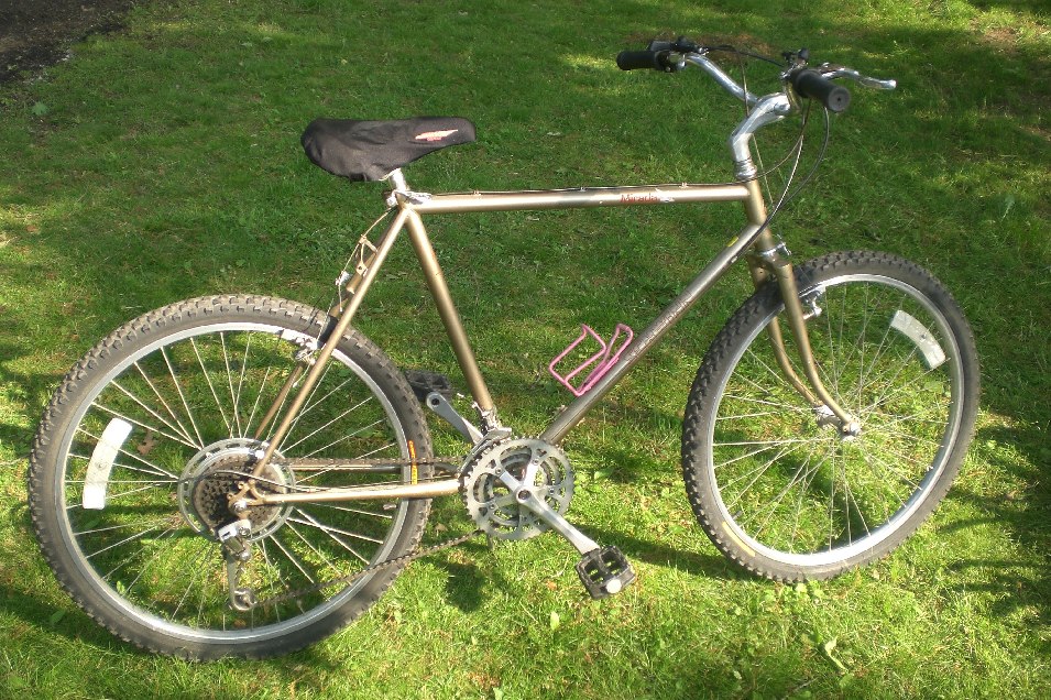 schwinn mountain bike