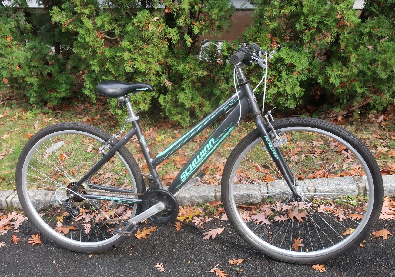 Schwinn Pathway Schwinn Pathway
