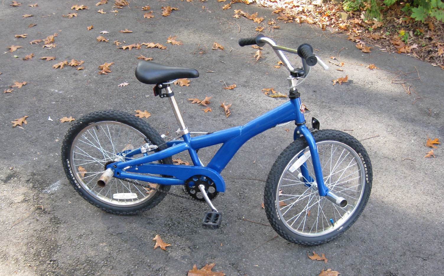 Schwinn Bike