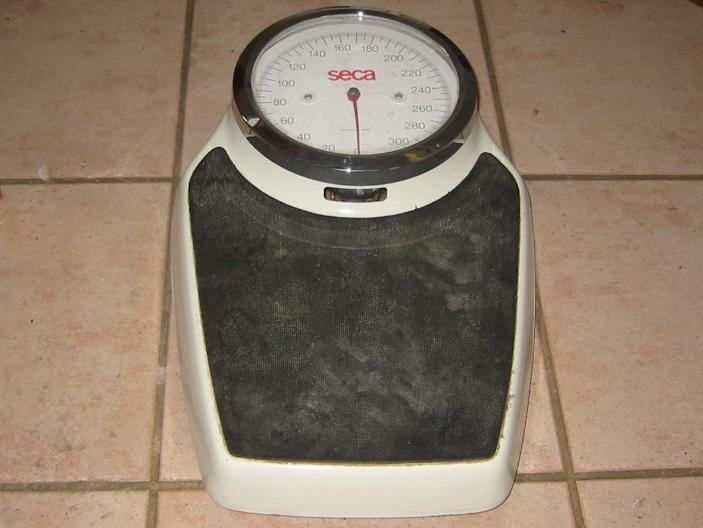Bathroom scale scale