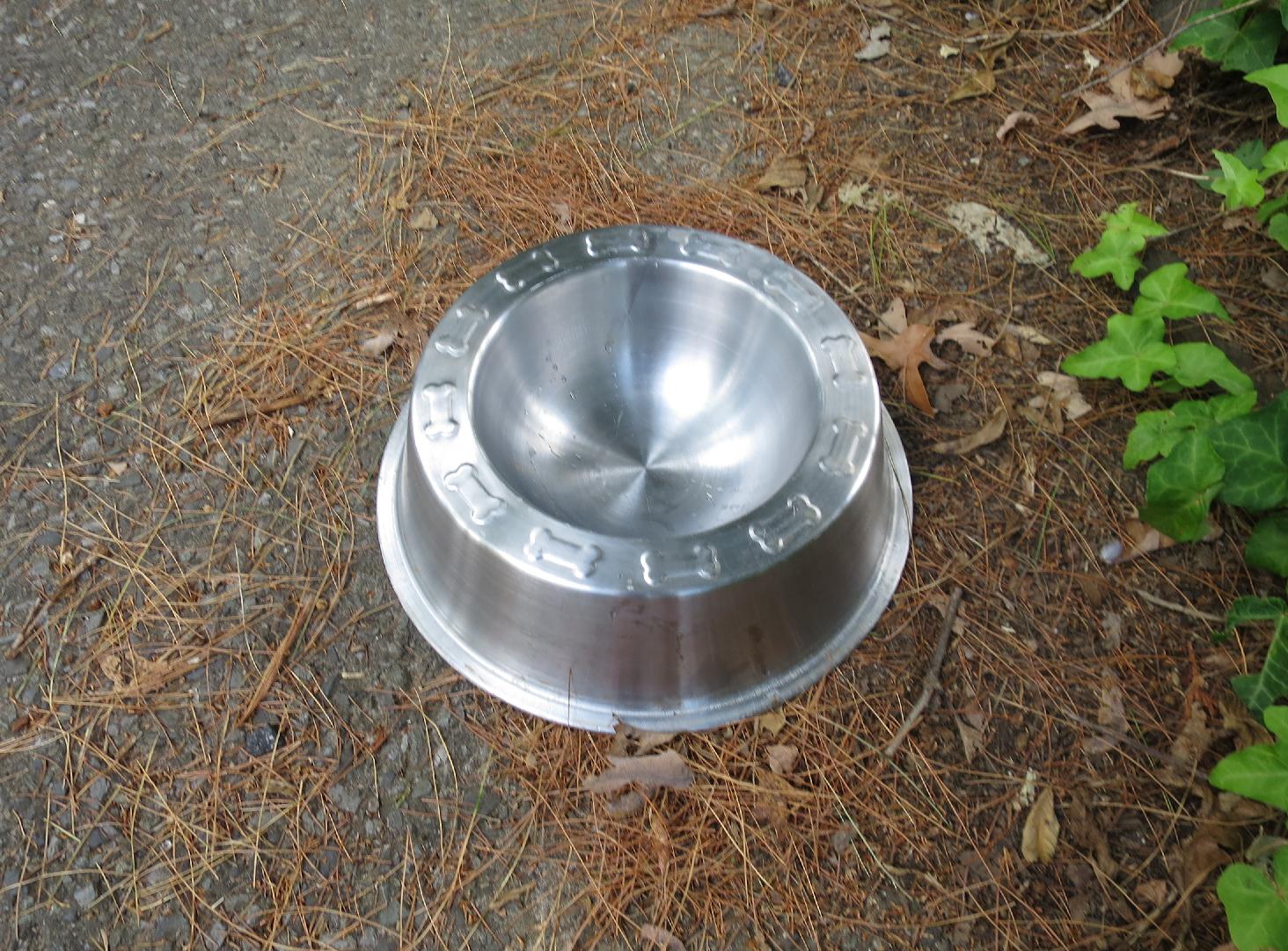 Dog Bowl Dog Bowl