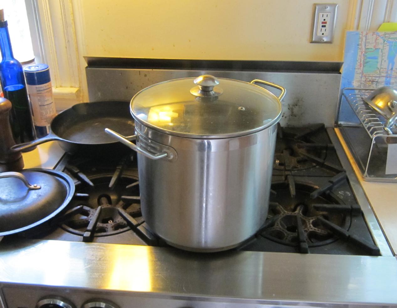 Stainless Pot