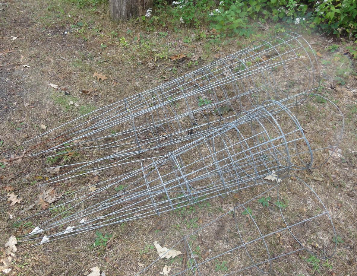 Tomato Cages Tomato Cages